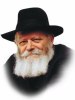 Rebbe Index.jpg
