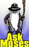 ask moses copy.jpg